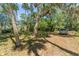 The property's landscape features mature trees and natural foliage, offering shade and an attractive setting at 290 Pine St, Ormond Beach, FL 32174