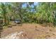 The property has a combination of manicured areas and sections of dense vegetation, creating a natural and appealing environment at 290 Pine St, Ormond Beach, FL 32174