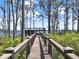 Wooden boardwalk surrounded by lush trees and foliage, leading towards waterfront at 6137 Grosvenor Shore Dr, Windermere, FL 34786