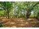 Large backyard featuring trees, a wooden fence, and a tree house at 1210 Baypoint Ct, Longwood, FL 32750