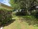 Side yard featuring green grass, privacy hedges, and mature trees providing shade at 12238 Still Meadow Dr, Clermont, FL 34711