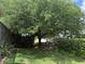 Lush backyard with green grass, mature trees, and privacy fencing at 12238 Still Meadow Dr, Clermont, FL 34711