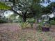 Leafy backyard features mature trees and plant life at 1528 Baltimore Dr, Orlando, FL 32810