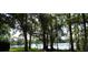 Scenic lake view framed by mature trees and lush greenery at 3063 Ash Park Loop, Winter Park, FL 32792