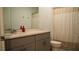 Bathroom featuring a vanity with a sink, toilet, shower, and a mirror at 33891 Sky Blossom Cir, Leesburg, FL 34788
