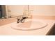 Bathroom sink with mirror at 33891 Sky Blossom Cir, Leesburg, FL 34788