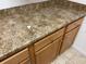 This kitchen features sleek cabinets and a brown countertop with an integrated backsplash at 5550 E Michigan St # 2202, Orlando, FL 32822