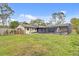 Large backyard with lush green grass, an enclosed pool, and privacy fence at 801 Fox Valley Dr, Longwood, FL 32779