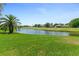 Lush backyard with a palm tree and golf course view, perfect for relaxing and enjoying the outdoors at 203 Prestwick Dr, New Smyrna Beach, FL 32168