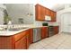 Kitchen with stainless steel appliances, wooden cabinets, and tile flooring, with a bright and functional design at 14021 King Sago Ct, Orlando, FL 32828