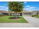 Well-maintained home featuring a large palm tree and meticulously landscaped front yard at 743 Lake Douglas Dr, Groveland, FL 34736