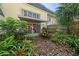 The backyard features tropical plants, a covered patio, and a sliding glass door at 908 Hillary Ct # 15, Orlando, FL 32804