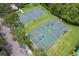 Community basketball courts surrounded by lush greenery, offering a great space for outdoor recreation at 14717 Royal Poinciana Dr, Orlando, FL 32828