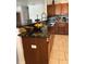 Modern kitchen with stainless steel appliances and a dark countertop at 5406 Crepe Myrtle Cir, Kissimmee, FL 34758