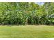 Lush green backyard features mature trees and a well-maintained lawn at 1511 Lyonsdale Ln, Sanford, FL 32771