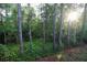 Scenic view of wooded backyard with lush greenery and a black metal fence at 8487 Crystal Cove Loop, Kissimmee, FL 34747