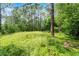Beautiful wooded homesite with trees and wild native plants perfect for building your dream home at 10105 Crozier Ct, Orlando, FL 32817