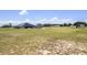 Sprawling backyard features a solar-paneled home, covered patio, and expansive grassy lawn at 11400 Lovers Ln, Winter Garden, FL 34787