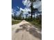 Picture of the long, private, and serene street at 1476 11Th Ave, Deland, FL 32724