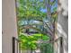 Exterior view from stairs highlights the mature landscape and multi-Gathering units at 200 Saint Andrews Blvd # 1603, Winter Park, FL 32792
