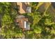 Top-down aerial view showcasing backyard pools and mature trees in a private residential area at 8800 Torey Pines Ter, Orlando, FL 32819
