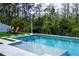 Modern pool with outdoor shower, privacy fence, and peaceful wooded backdrop at 9224 Legado Dr, Windermere, FL 34786