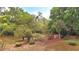 A spacious backyard featuring a lush array of trees and greenery, offering a peaceful retreat and natural beauty at 1212 Foxfire Dr, Apopka, FL 32712
