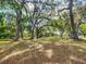 Expansive backyard with mature trees, offering shade and privacy at 1406 Cr 542G, Bushnell, FL 33513