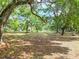 Expansive backyard with mature trees, offering shade and privacy at 1406 Cr 542G, Bushnell, FL 33513