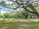 Park-like yard with mature trees create a tranquil, shaded outdoor space at 1406 Cr 542G, Bushnell, FL 33513