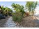 The backyard features tropical landscaping and a stone paver path, creating a lush outdoor space at 15714 Turkey Farm Rd, Minneola, FL 34715