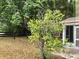 Landscaped backyard with mature tree, fence, and view of back of home at 307 Santa Clara Cir, Lady Lake, FL 32159