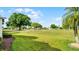 Expansive backyard with lush green grass, mature trees, and views of the surrounding landscape at 3617 Cherry Hill Dr, Orlando, FL 32822