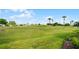 Beautiful backyard landscape featuring rolling hills of green grass and palm trees in the distance at 3617 Cherry Hill Dr, Orlando, FL 32822