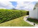 Private backyard features green grass, a concrete path, and tall hedges at 5896 Barclay Ct, The Villages, FL 32163