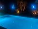 Backyard swimming pool at night with pool lights and landscaping at 5896 Barclay Ct, The Villages, FL 32163