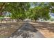 Long driveway leading to a charming home surrounded by mature trees and picturesque scenery at 7823 Baron Ave, Howey In The Hills, FL 34737