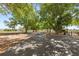 A long asphalt driveway is lined with mature trees and leads to the beautiful home and property at 7823 Baron Ave, Howey In The Hills, FL 34737