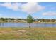 Scenic pond view of the backyard featuring lush green grass and single tree in the water at 3348 Perennial Ln, Kissimmee, FL 34746