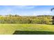 Lush backyard with green lawn and a beautiful view of the natural landscape at 1675 Amsel Falls Park Ter, Winter Garden, FL 34787