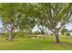 Picturesque pond view featuring mature landscaping, trees, and green lawn at 1842 Turnbull Lakes Dr, New Smyrna Beach, FL 32168