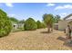 The home's backyard features gravel landscaping and mature trees providing privacy at 220 Palmer Park Ln, Davenport, FL 33897