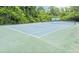 Well-maintained community tennis court surrounded by lush trees and greenery at 2329 Shadow View Cir # 2329, Maitland, FL 32751