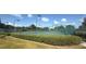 Manicured tennis courts surrounded by lush green landscaping with lighting for evening games at 239 Longhirst Loop, Ocoee, FL 34761
