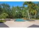 Backyard pool boasts lush tropical landscaping, a rock waterfall, and integrated spa at 3412 Lilas Ct, Windermere, FL 34786