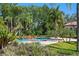 Stunning pool with a rock waterfall feature and tropical foliage, offering a private backyard oasis at 3412 Lilas Ct, Windermere, FL 34786