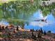 Scenic pond view with ducks swimming and mature trees reflected in the water at 5354 Diplomat Ct # 105, Kissimmee, FL 34746