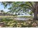 Expansive backyard overlooking the serene lake, featuring mature trees and a brick patio, great for relaxation at 8616 Port Said St, Orlando, FL 32817