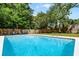Inviting backyard pool with lounge chairs and surrounded by lush greenery and a privacy fence at 261 West Citrus St, Altamonte Springs, FL 32714