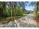Long driveway leading to a charming home surrounded by lush trees and greenery at 34 Jackson Cir, Winter Springs, FL 32708